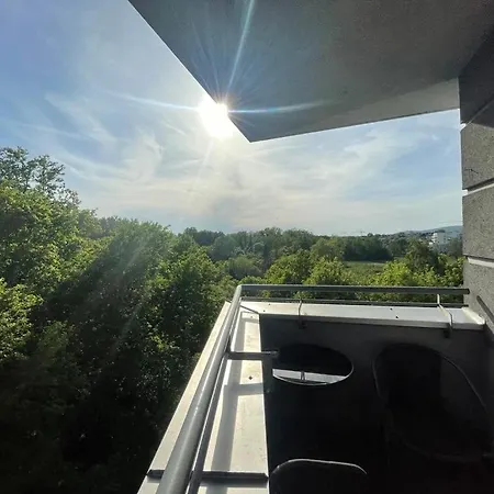 6 Pietro 克拉科夫